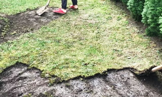 Снятие дерна старого газона в Боровичах – от 519 руб. | 2Землекопа-Брв